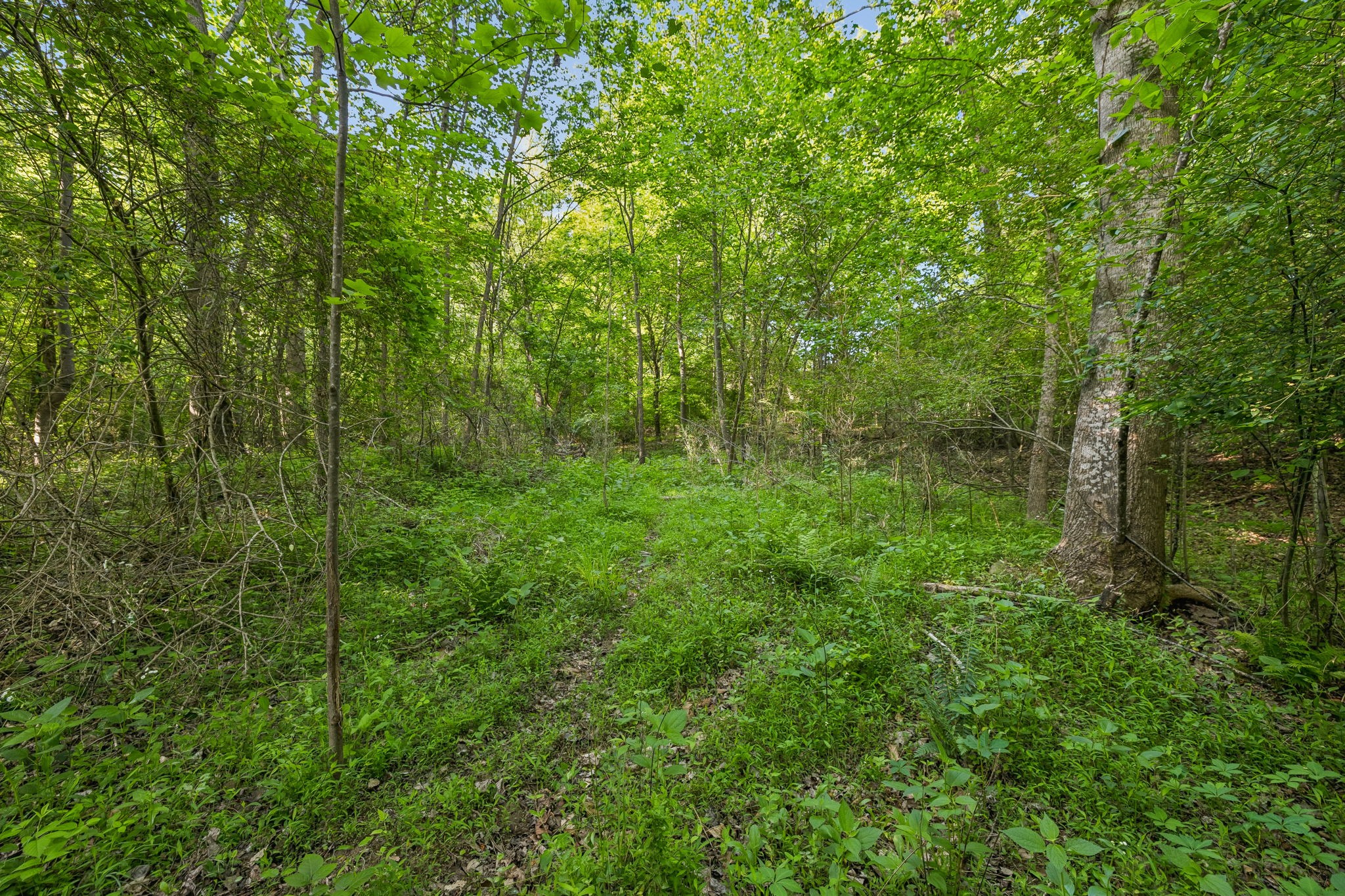 0 Rebecca West Road Fayetteville TN 37334