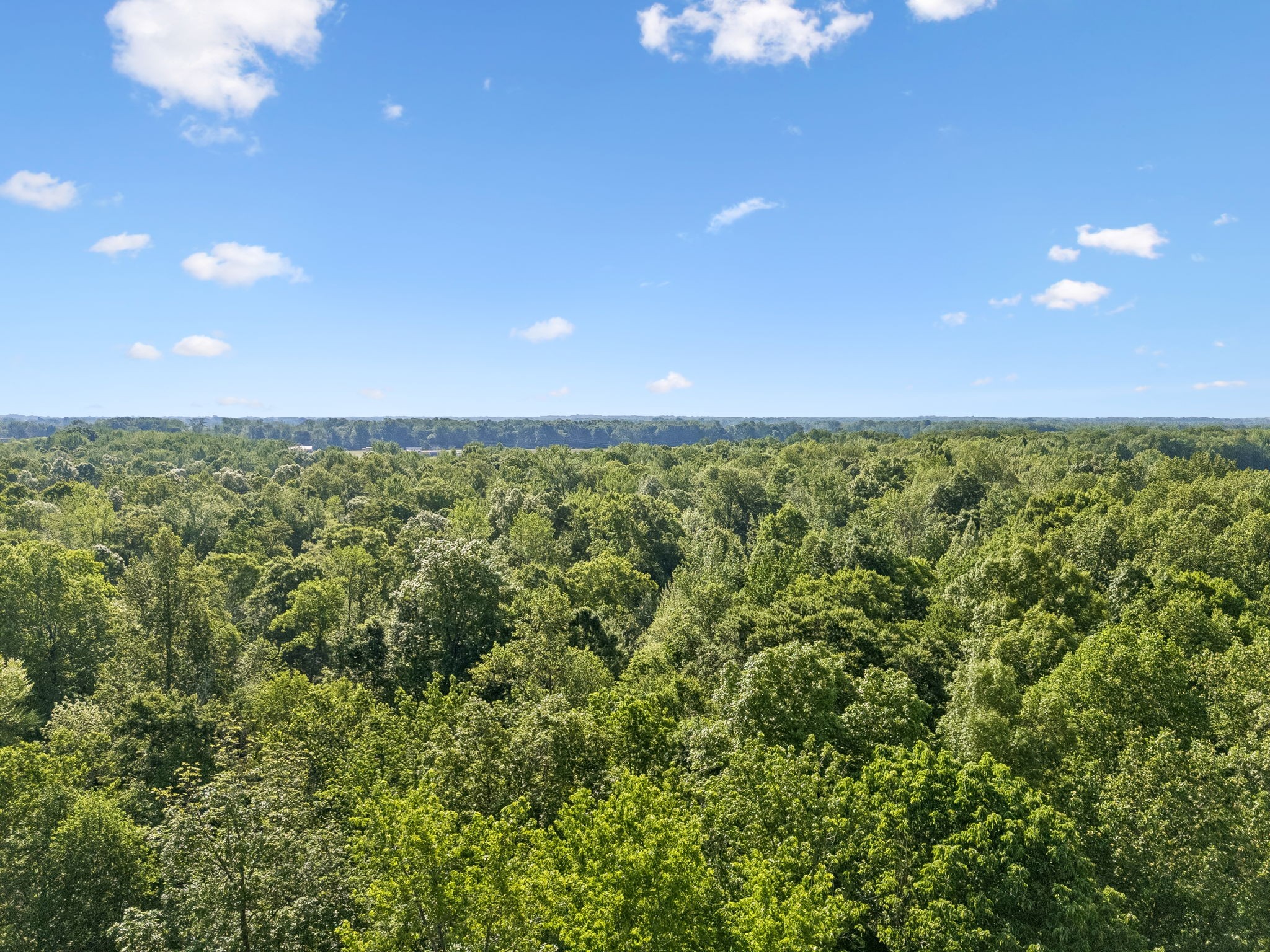 0 Rebecca West Road Fayetteville TN 37334