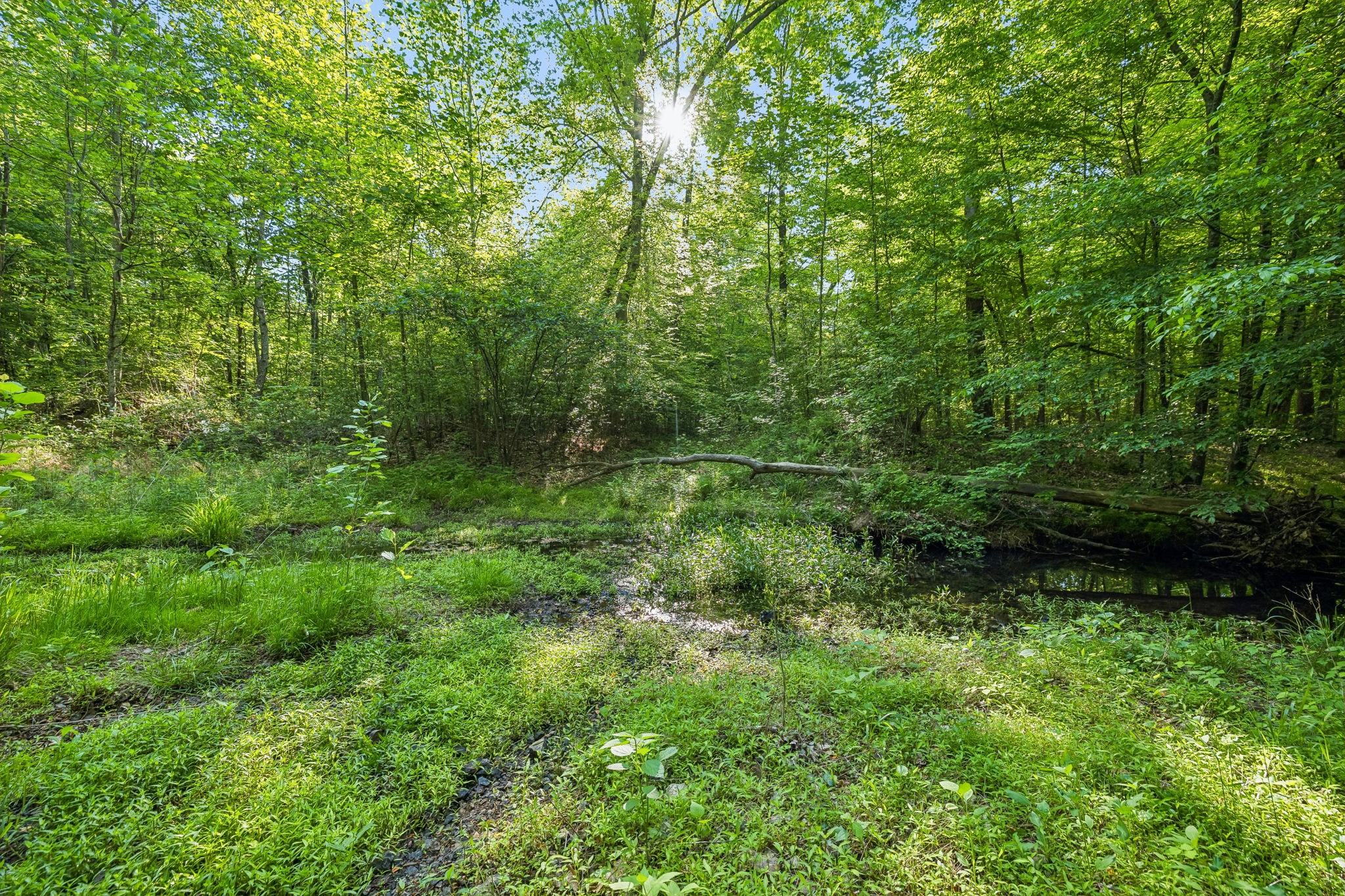 0 Rebecca West Road Fayetteville TN 37334
