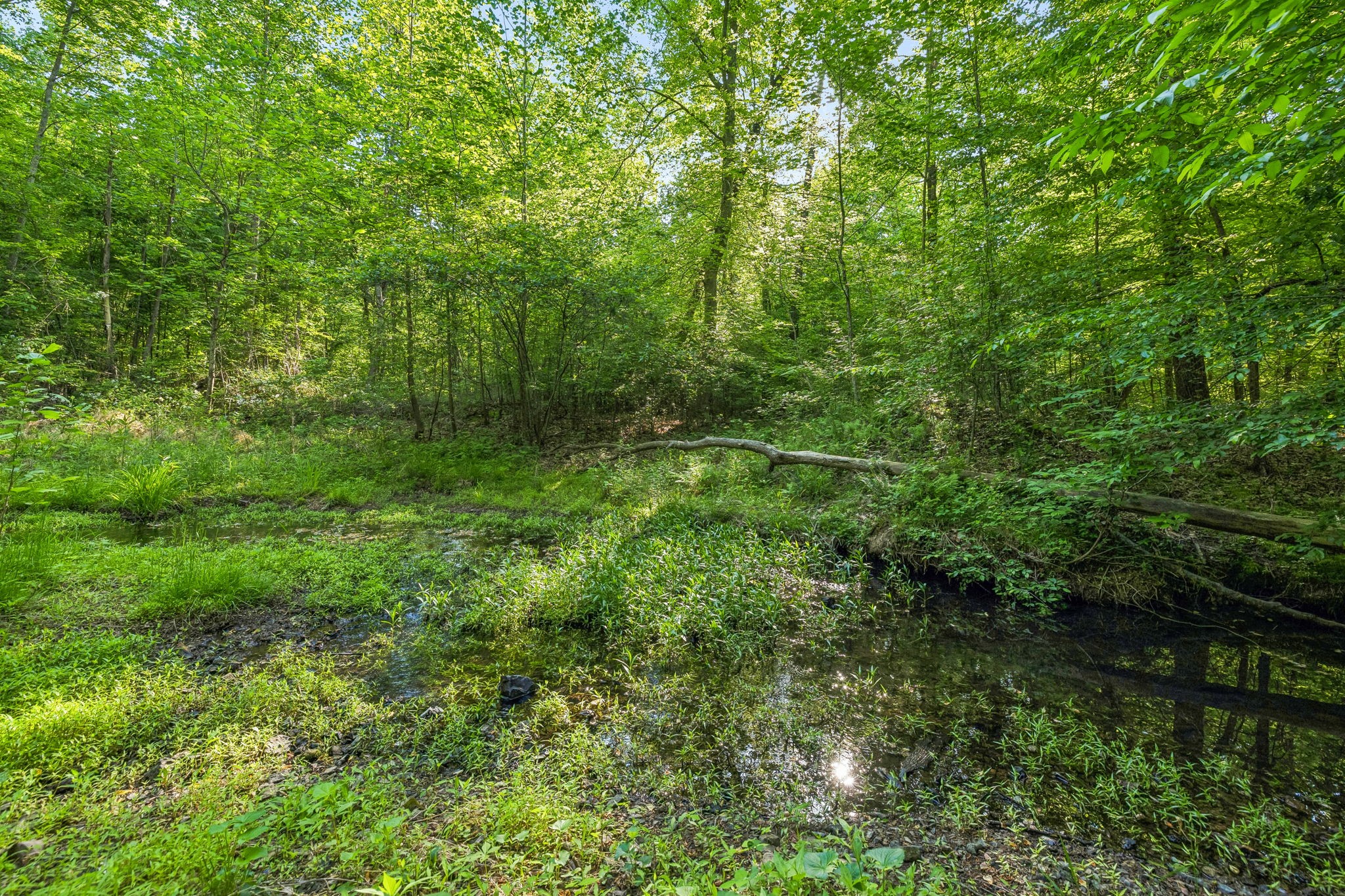 0 Rebecca West Road Fayetteville TN 37334