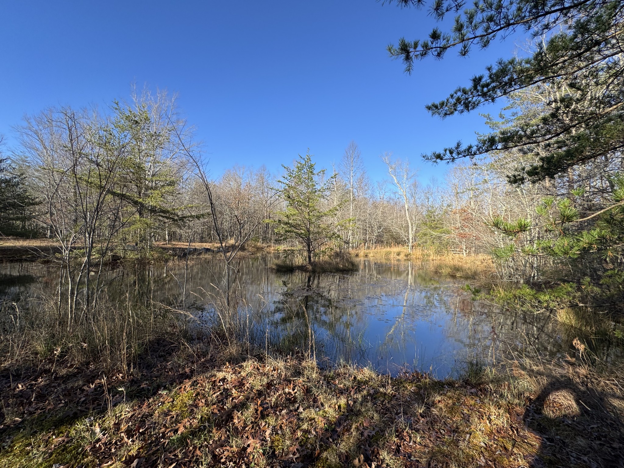 224 Azalea Ridge Road Tracy City TN 37387