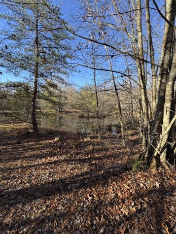 224 Azalea Ridge Road Tracy City TN 37387