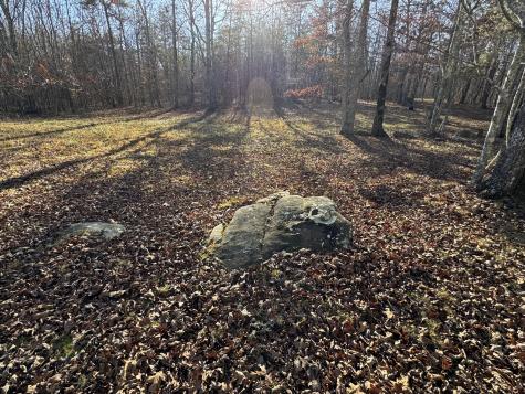 224 Azalea Ridge Road Tracy City TN 37387