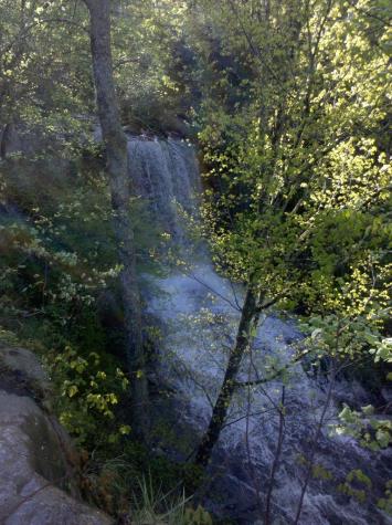 224 Azalea Ridge Road Tracy City TN 37387