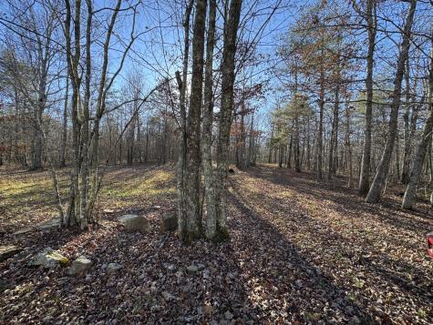 224 Azalea Ridge Road Tracy City TN 37387