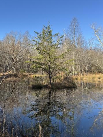 224 Azalea Ridge Road Tracy City TN 37387