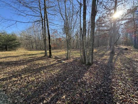 224 Azalea Ridge Road Tracy City TN 37387