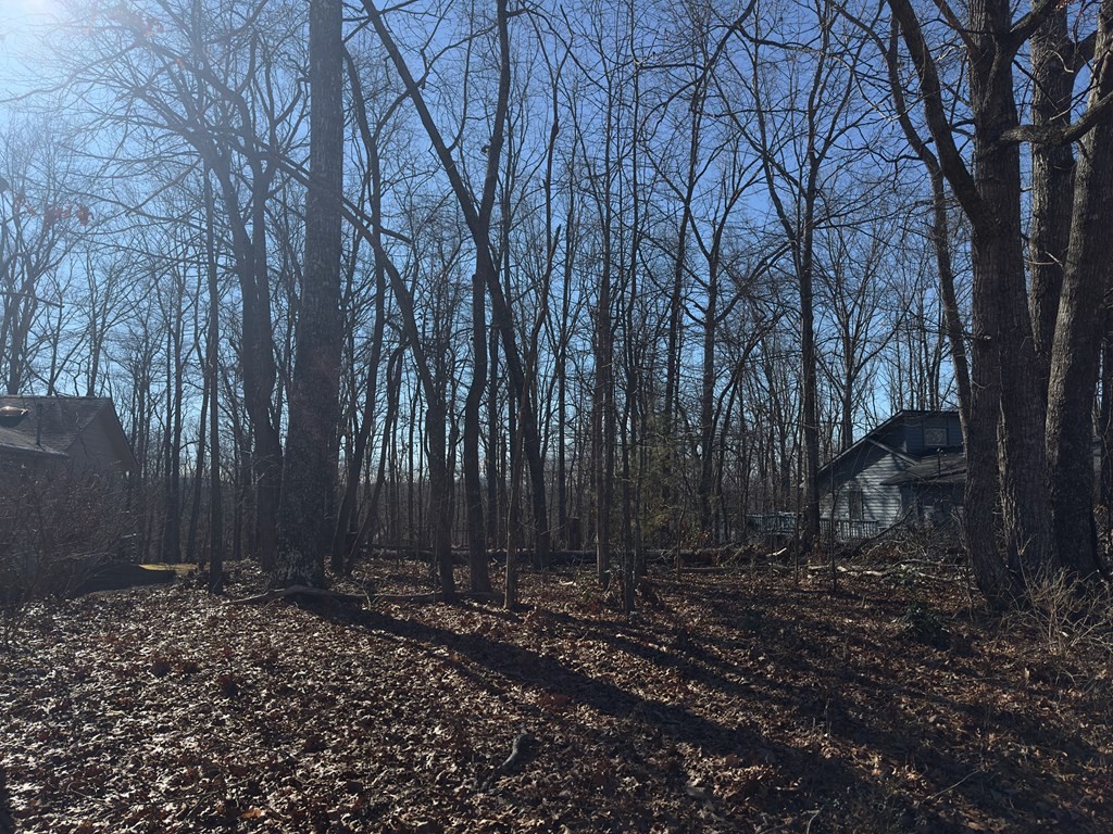 336 Lakeview Drive Crossville TN 38558