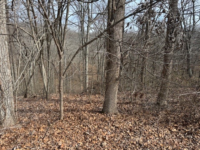 0 Wildwood White House TN 37188