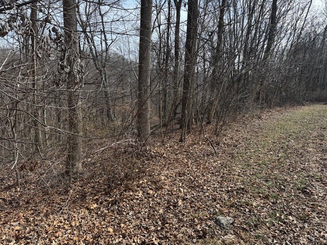 0 Wildwood White House TN 37188