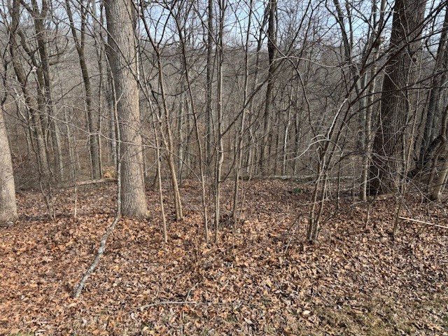 0 Wildwood White House TN 37188
