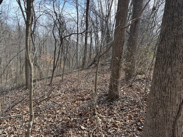0 Wildwood White House TN 37188