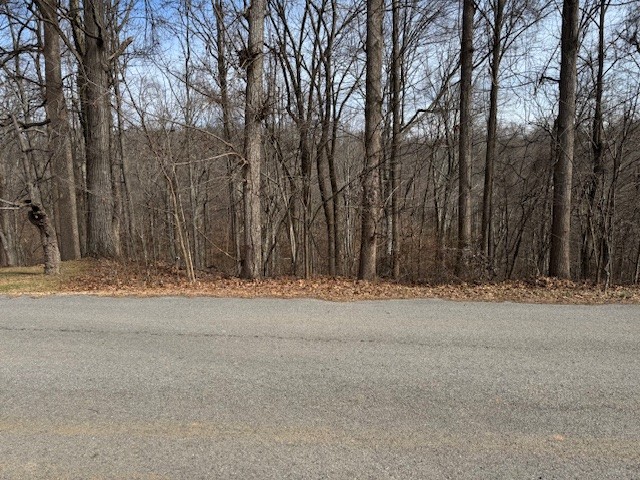 0 Wildwood White House TN 37188