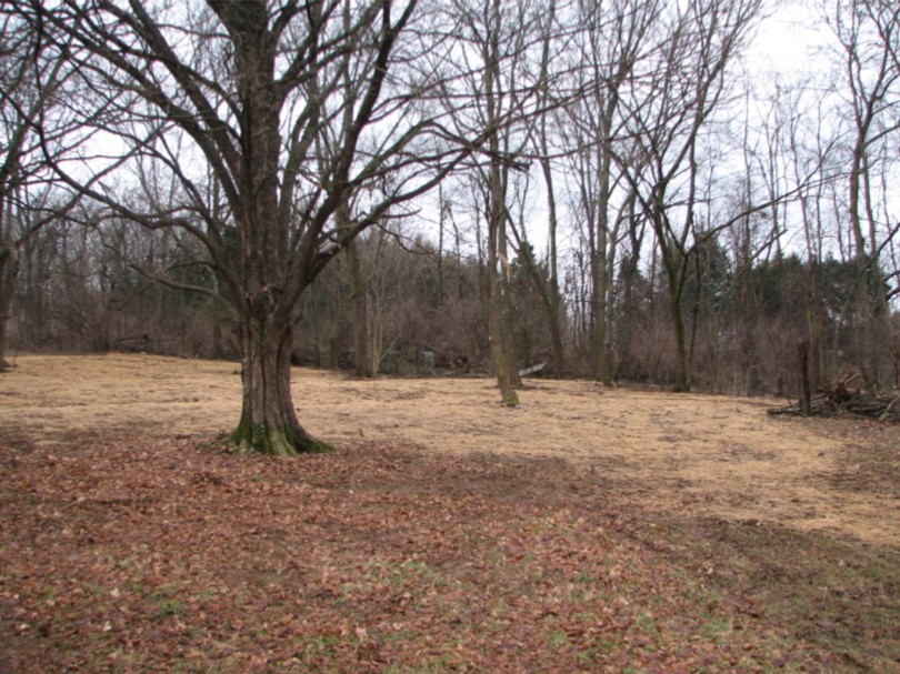1311 Huffines Ridge Drive Franklin TN 37067