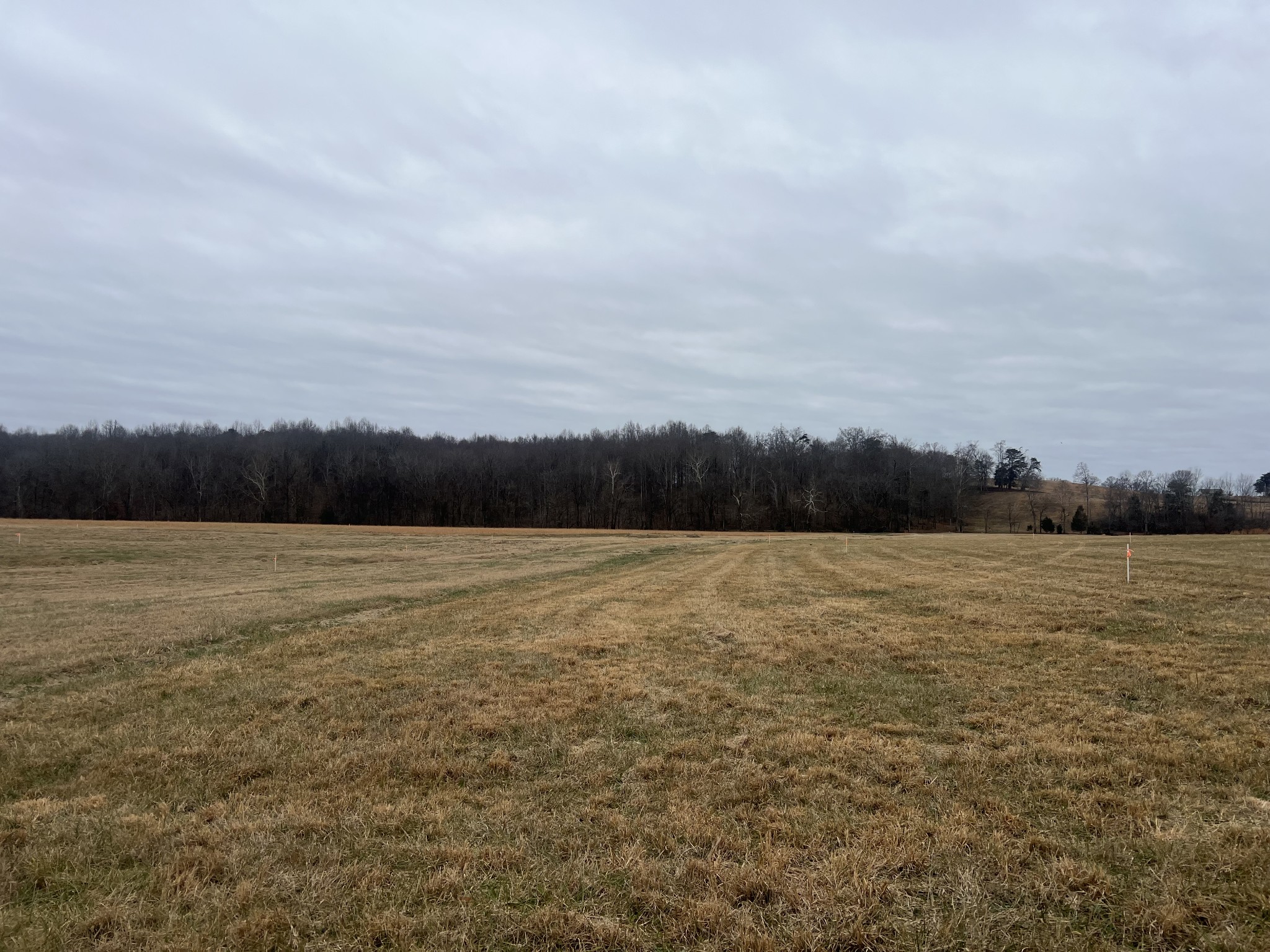 5 Clay County Highway Moss TN 38575