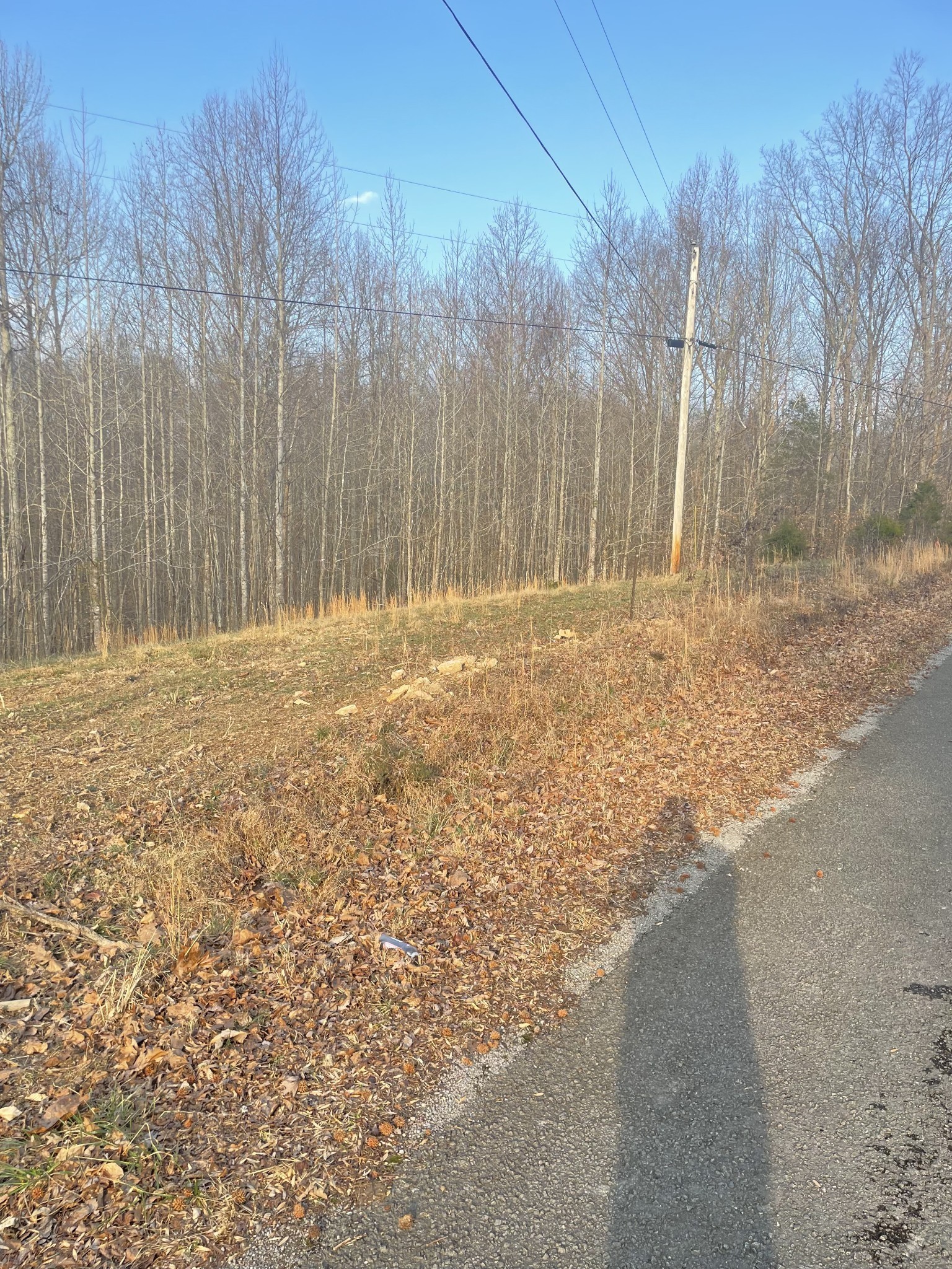 0 Sugar Tree Knob Road Liberty TN 37095