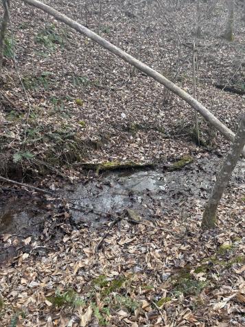 0 Sugar Tree Knob Road Liberty TN 37095