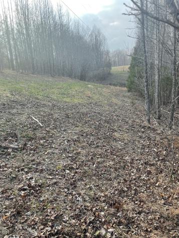 0 Sugar Tree Knob Road Liberty TN 37095