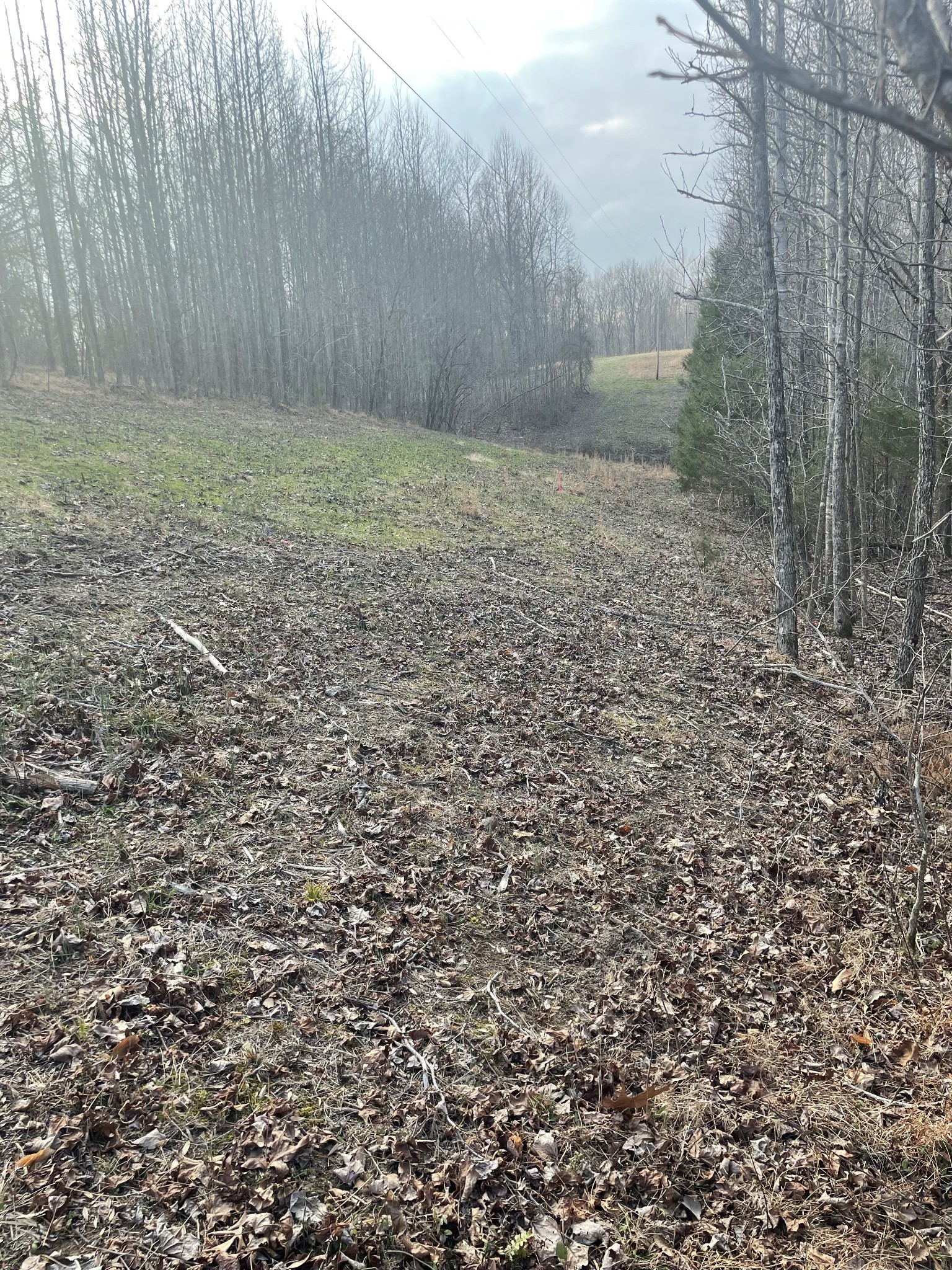 0 Sugar Tree Knob Road Liberty TN 37095