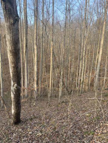 0 Sugar Tree Knob Road Liberty TN 37095