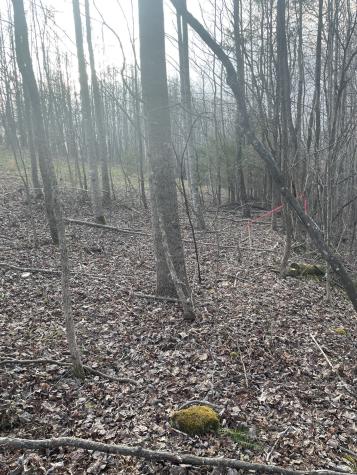 0 Sugar Tree Knob Road Liberty TN 37095