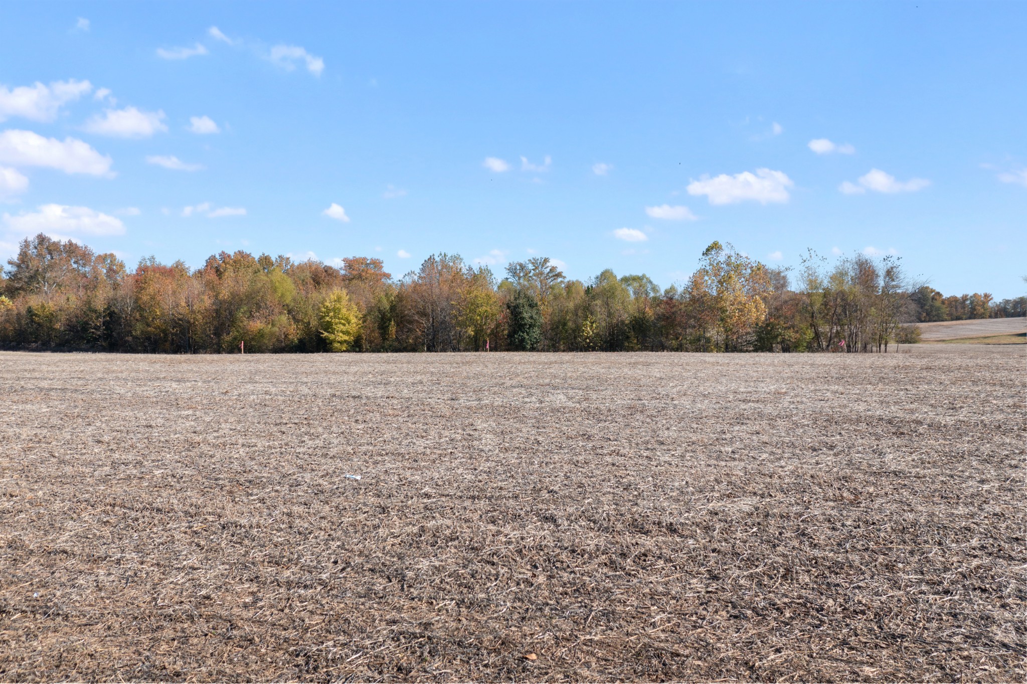 0 Highway 431, N Springfield TN 37172