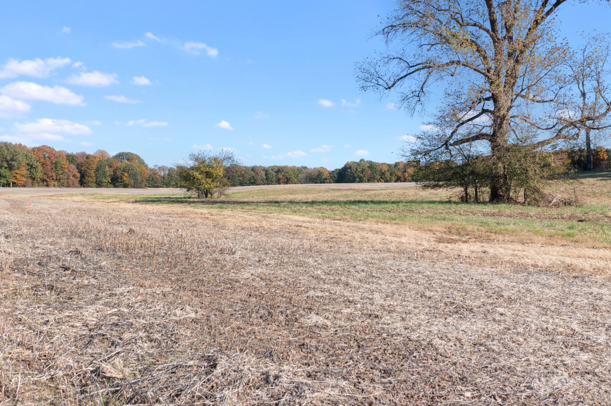 0 Highway 431, N Springfield TN 37172
