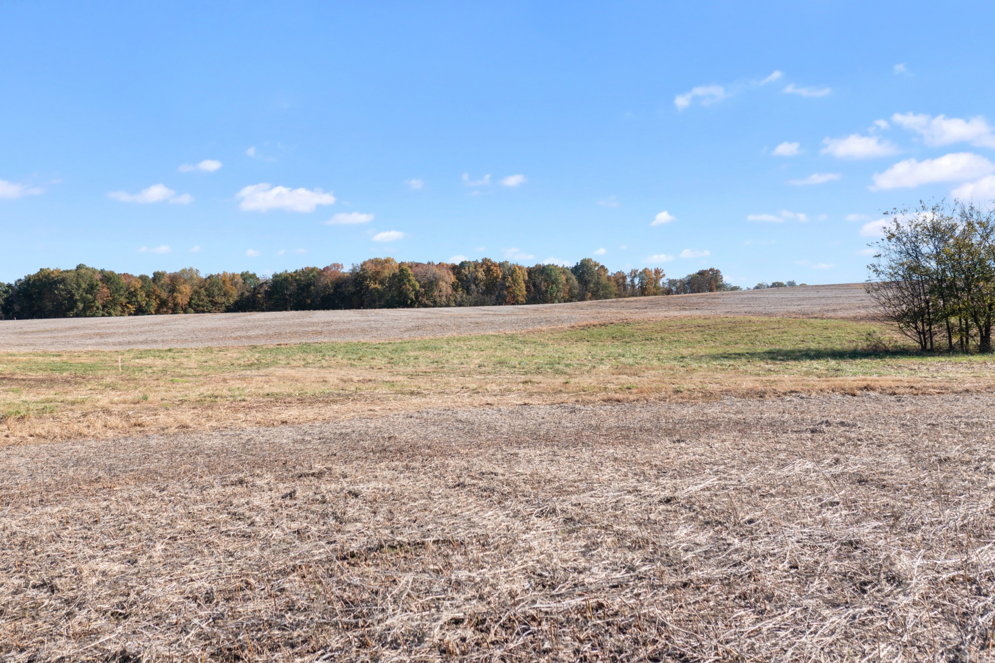 0 Highway 431, N Springfield TN 37172