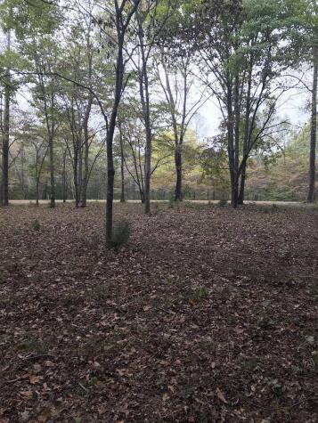 5728 N Lick Creek Road Franklin TN 37064