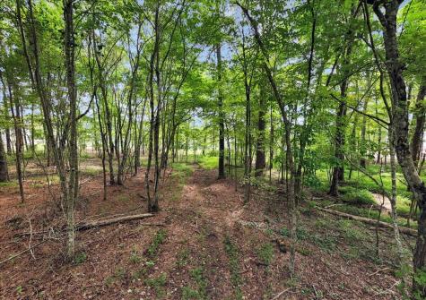 0 Raulston Falls Road Jasper TN 37347