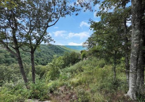 0 Raulston Falls Road Jasper TN 37347