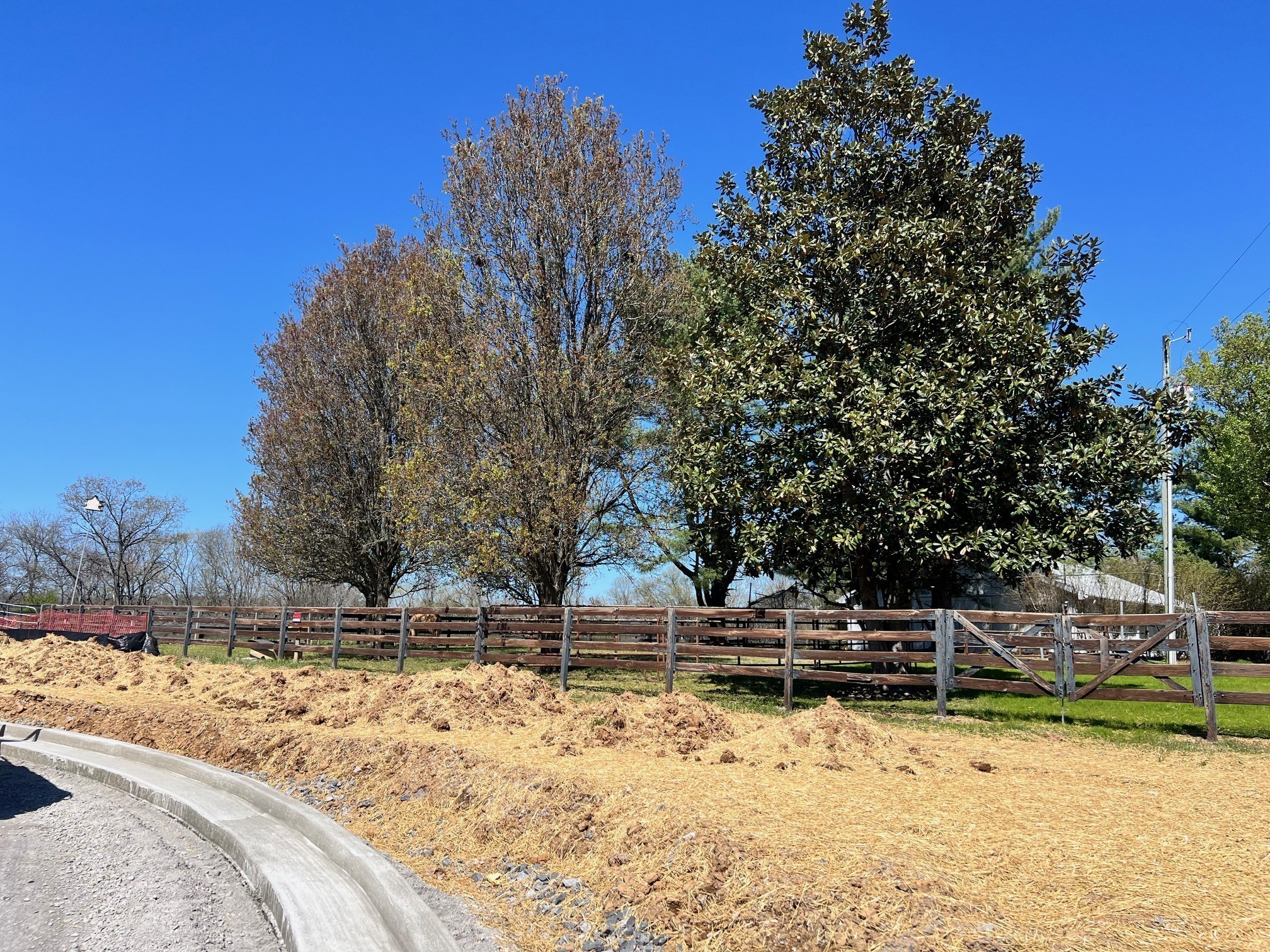 1006 Laguna Drive Franklin TN 37067