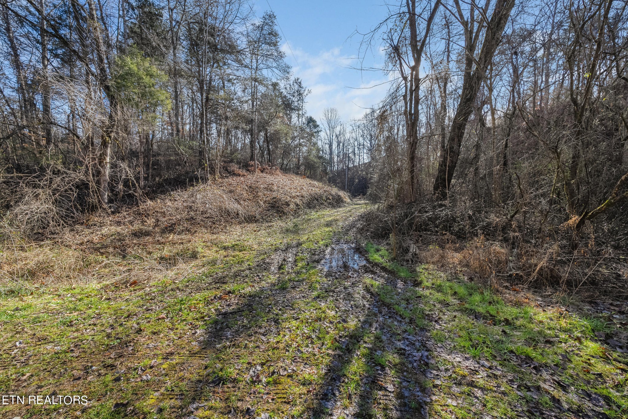 820 Old Gate Road Pigeon Forge TN 37863