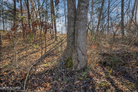 820 Old Gate Road Sevierville TN 37863