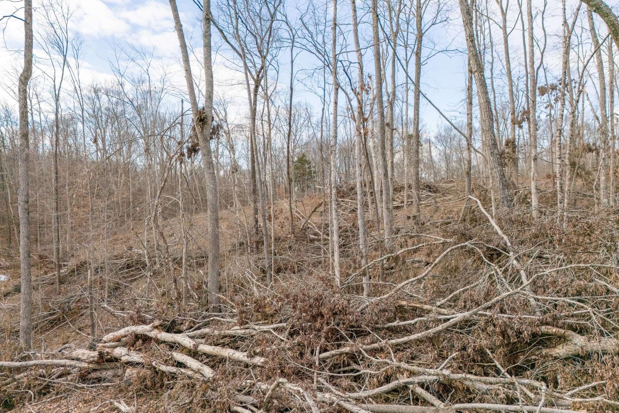 0 Hutchins Bend Road Sparta TN 38583