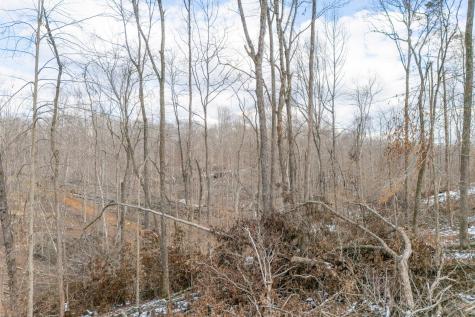 0 Hutchins Bend Road Sparta TN 38583