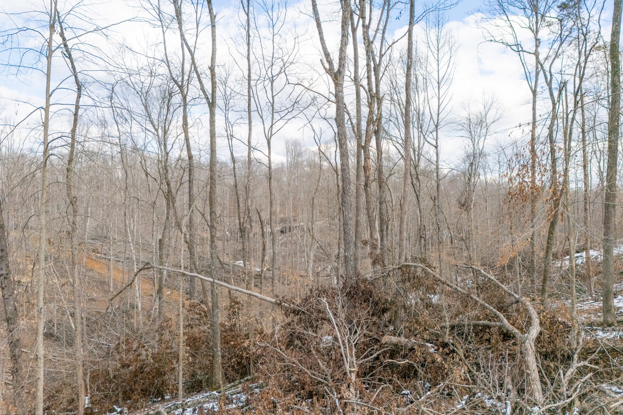 0 Hutchins Bend Road Sparta TN 38583