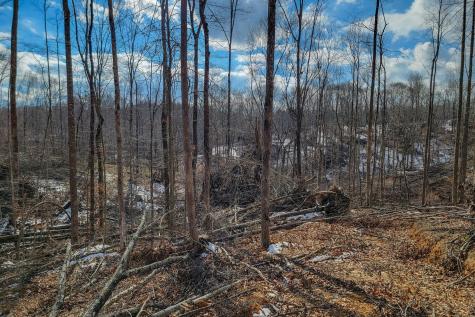 0 Hutchins Bend Road Sparta TN 38583