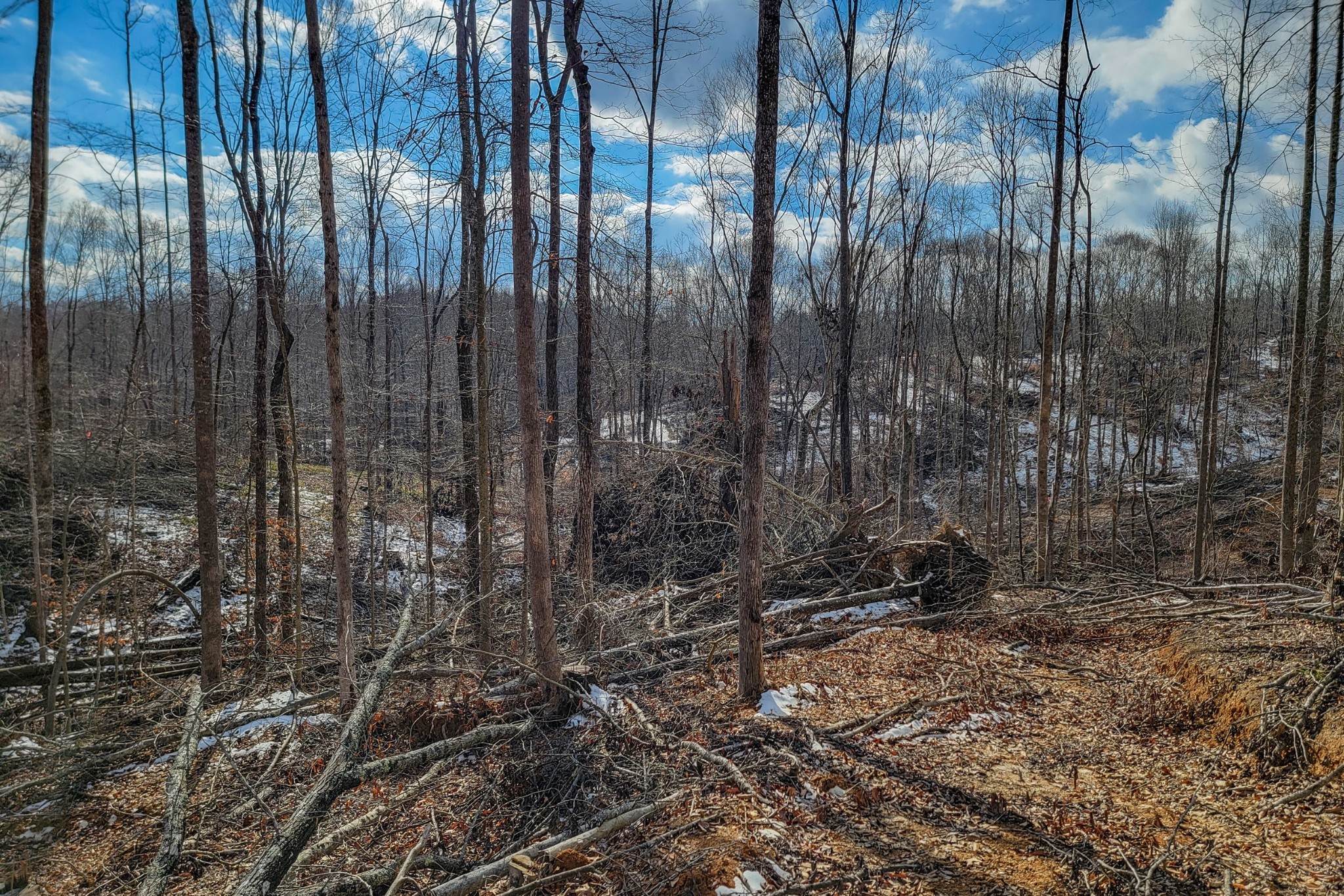 0 Hutchins Bend Road Sparta TN 38583