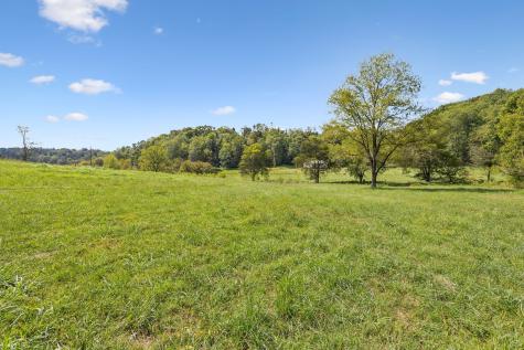 6 Young Road Pulaski TN 38478