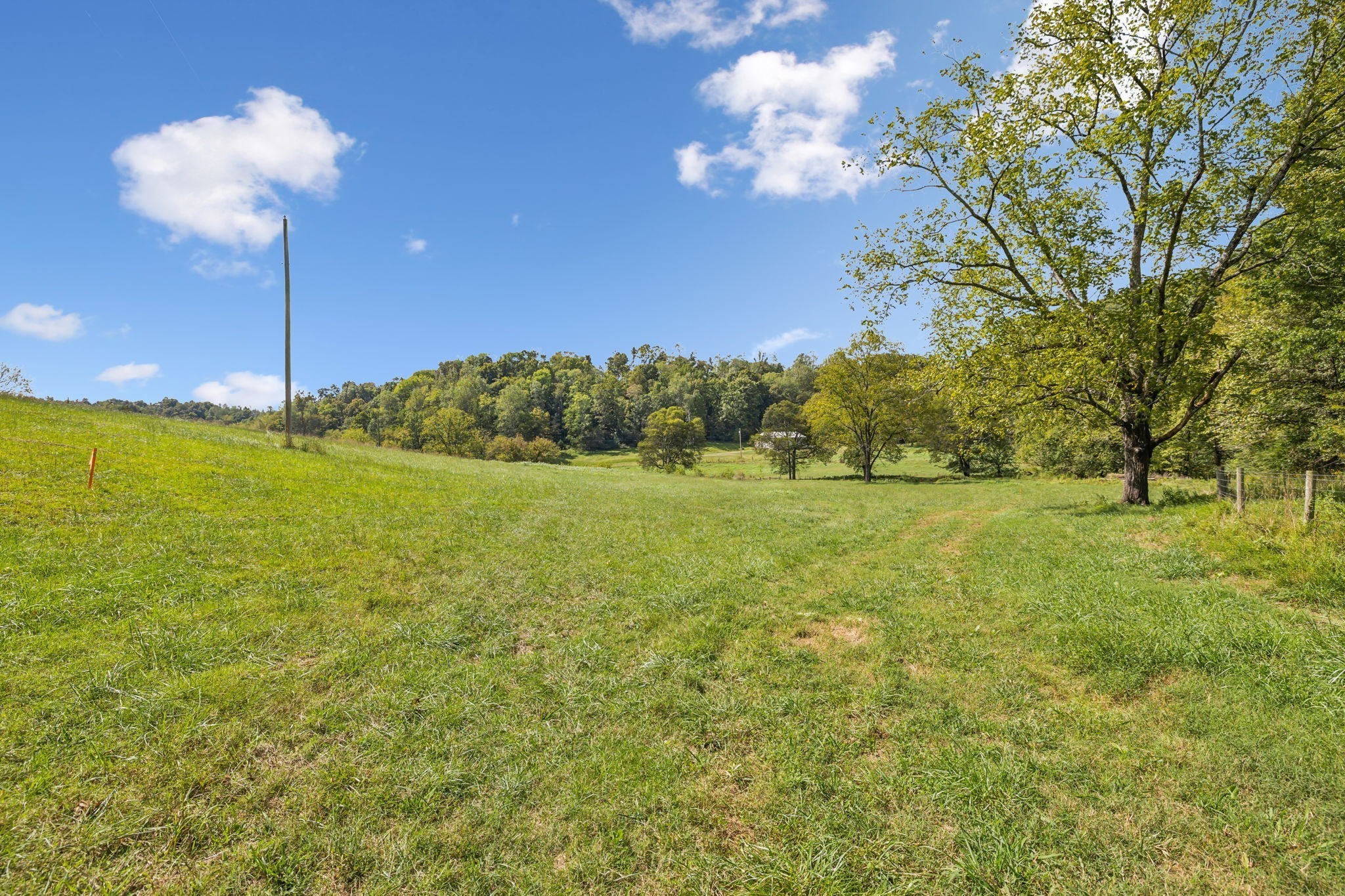 6 Young Road Pulaski TN 38478