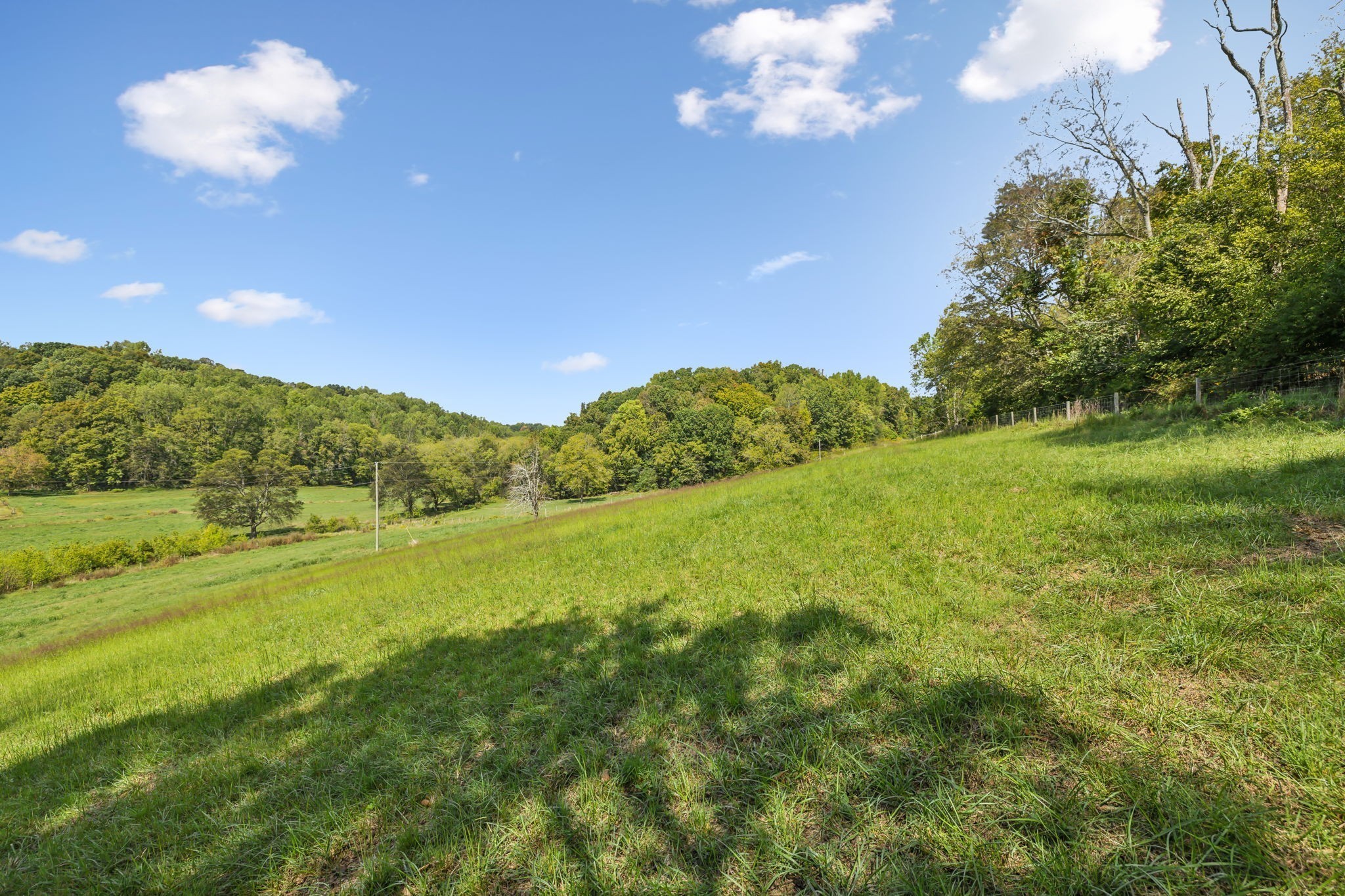 6 Young Road Pulaski TN 38478