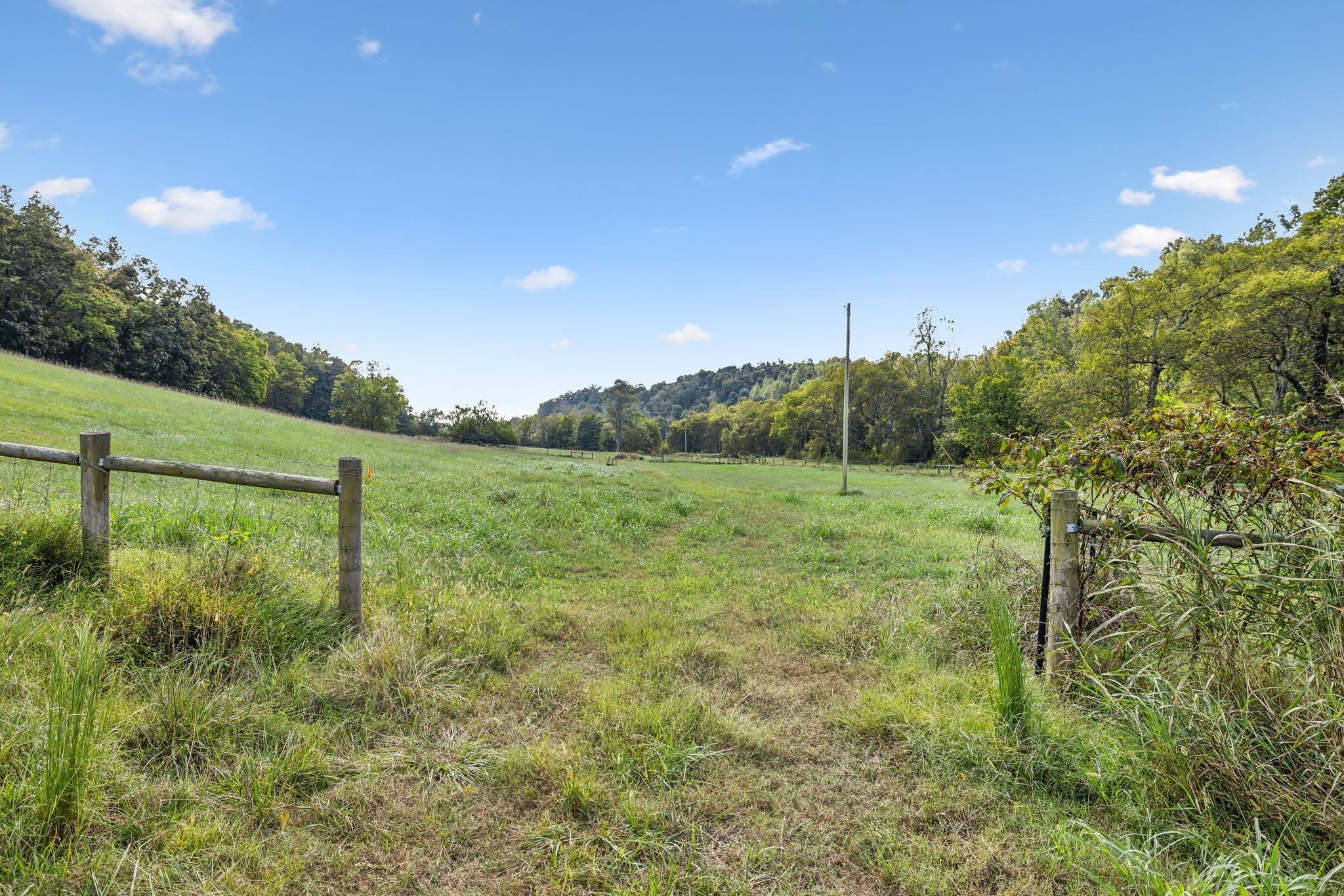 6 Young Road Pulaski TN 38478