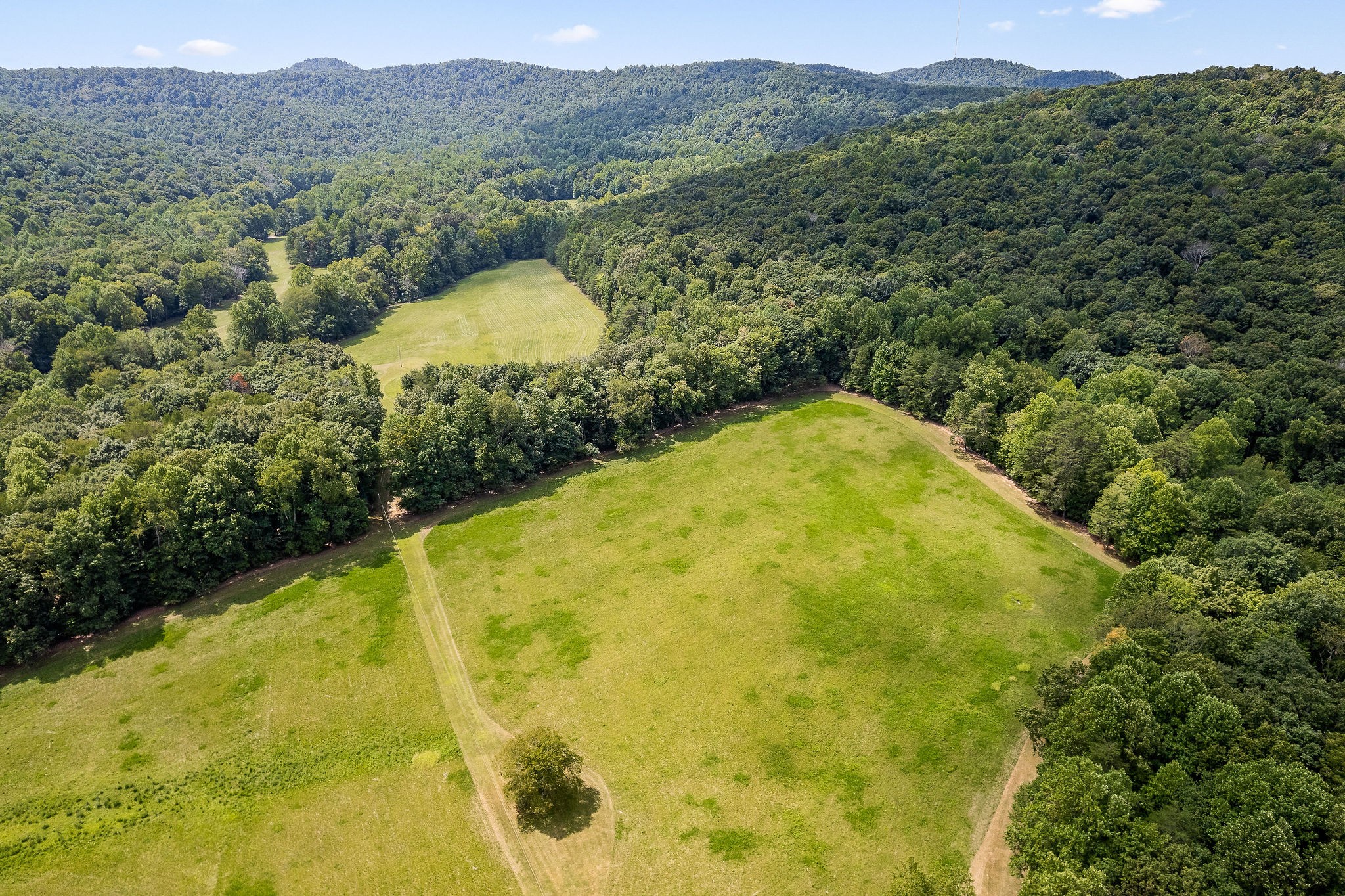 2641 Stamps Shady Grove Road Monterey TN 38574