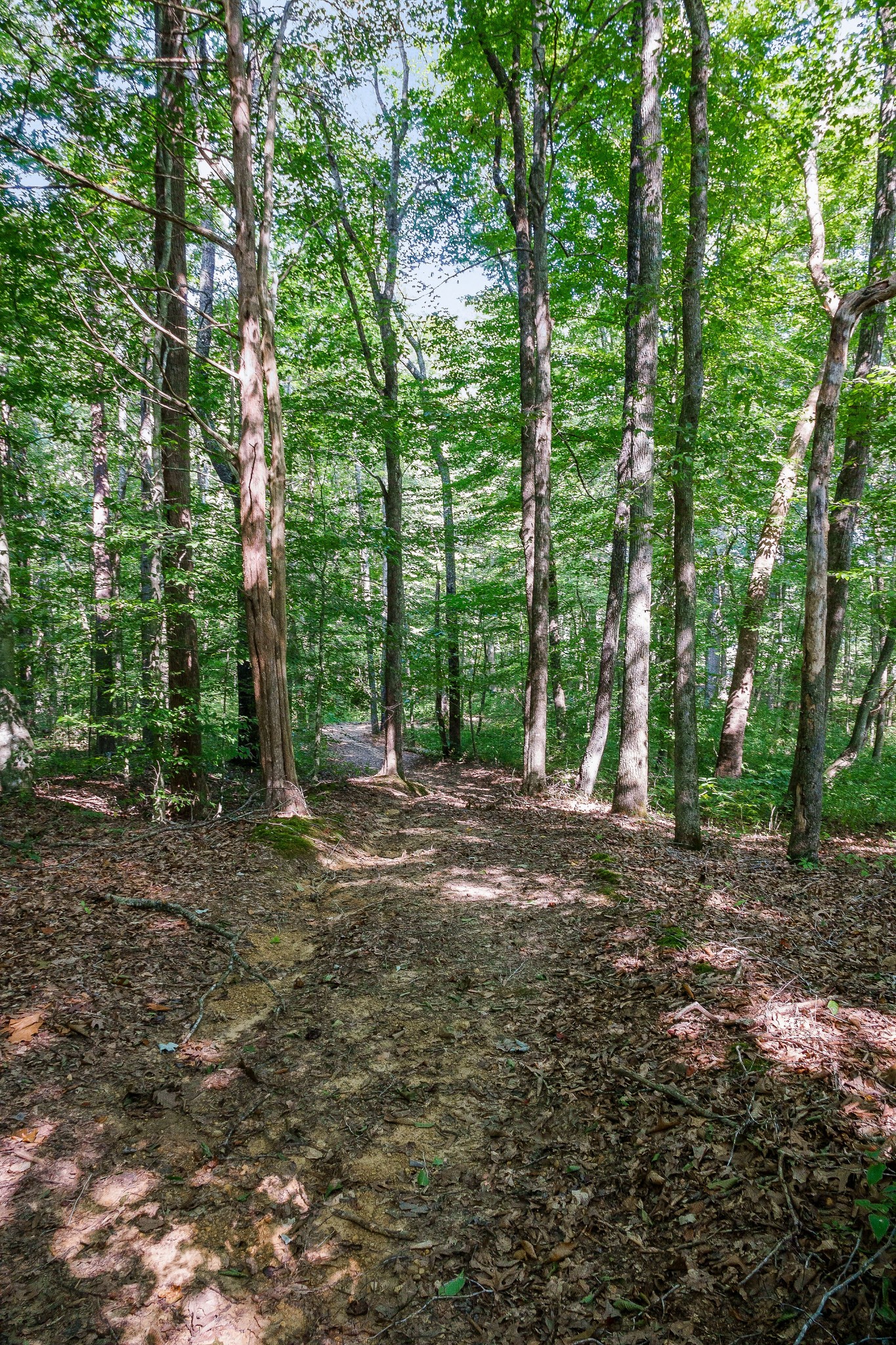 2641 Stamps Shady Grove Road Monterey TN 38574