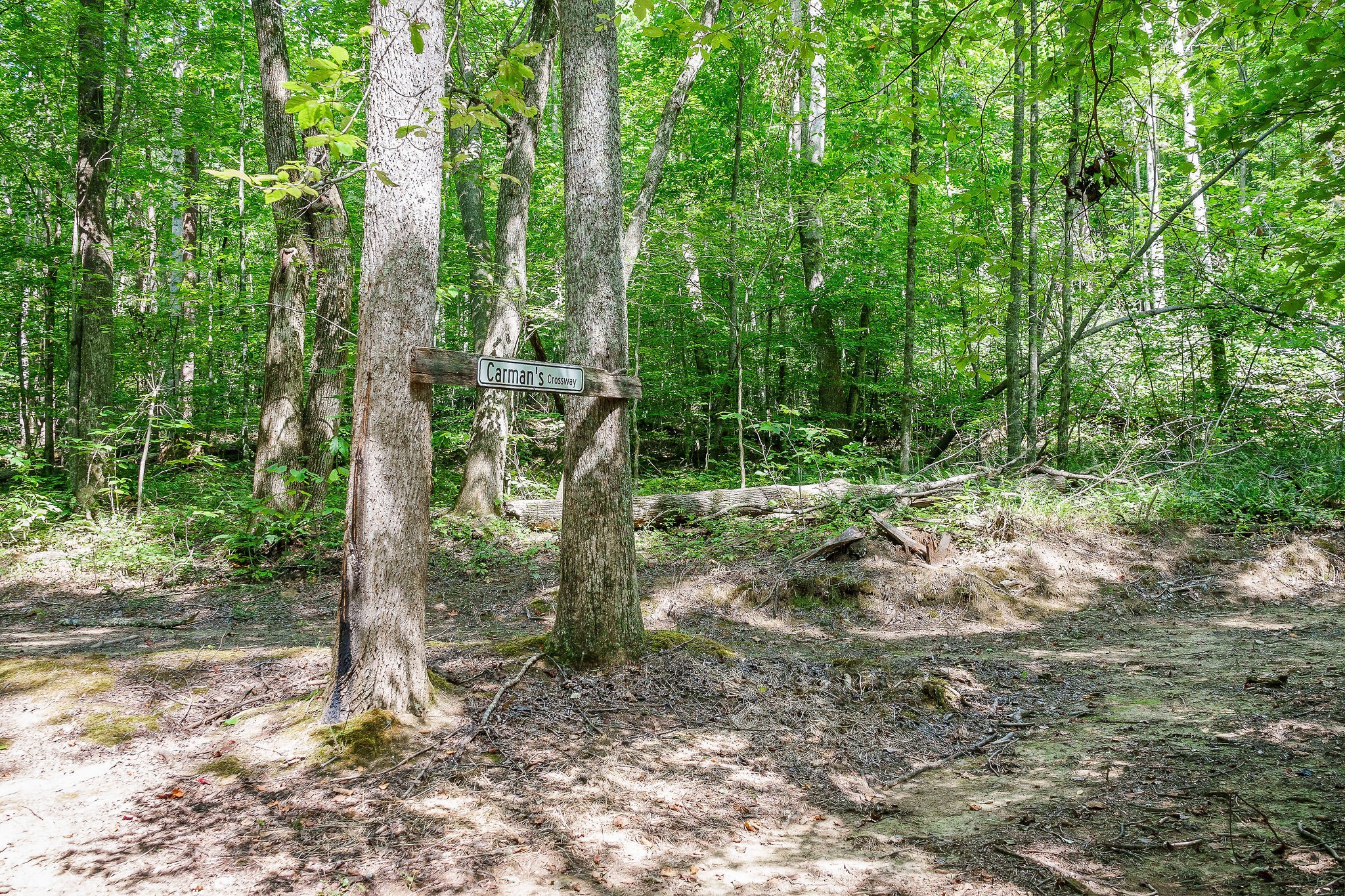 2641 Stamps Shady Grove Road Monterey TN 38574