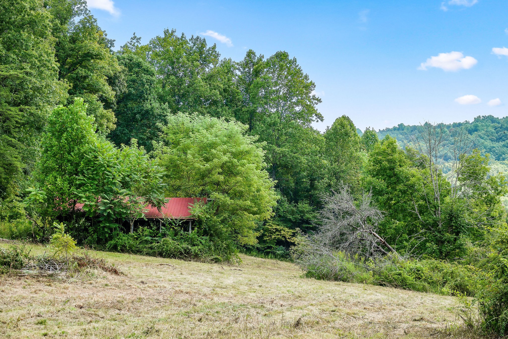 2641 Stamps Shady Grove Road Monterey TN 38574