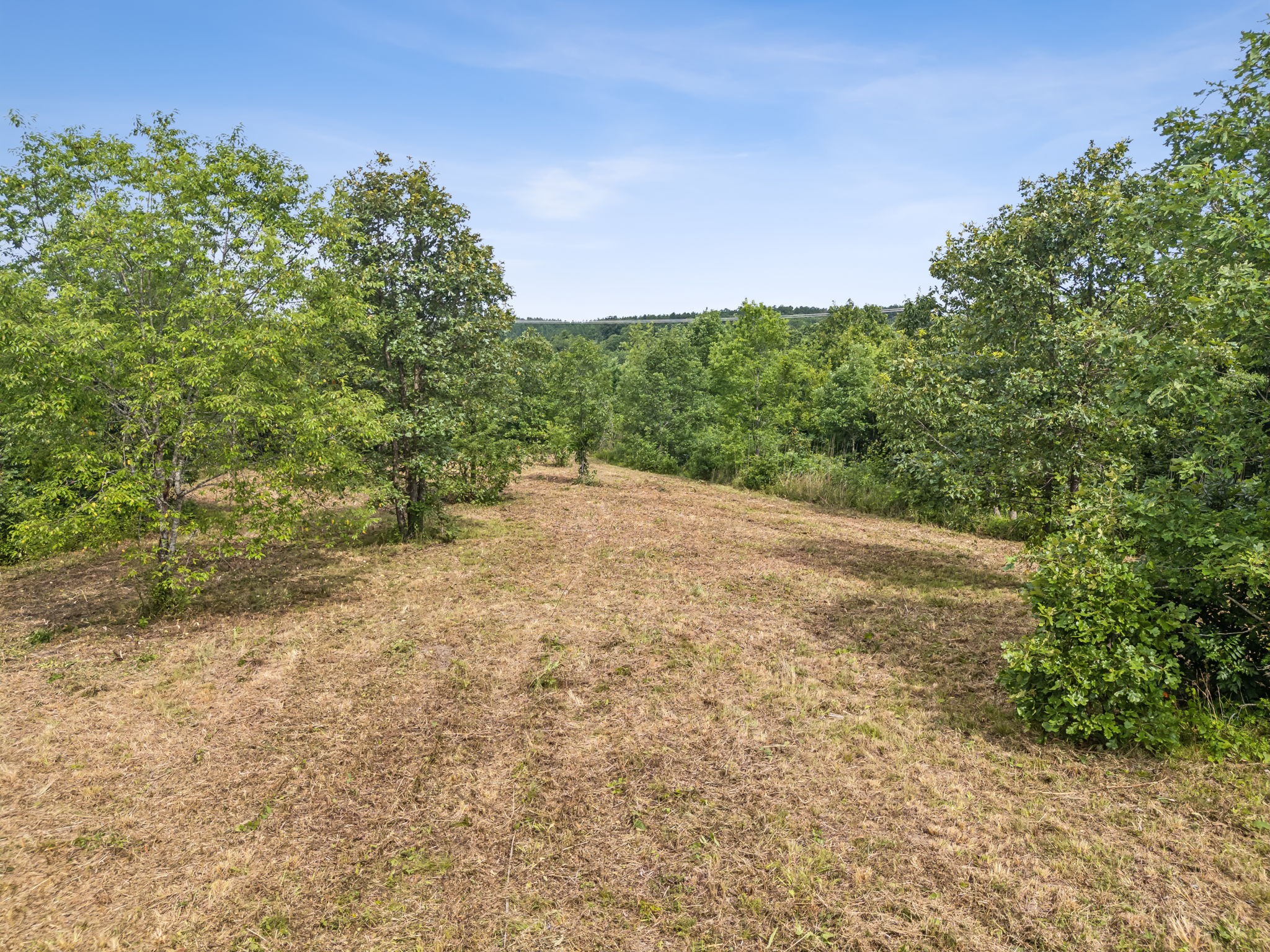 0 Bear Hollow Drive Waverly TN 37185