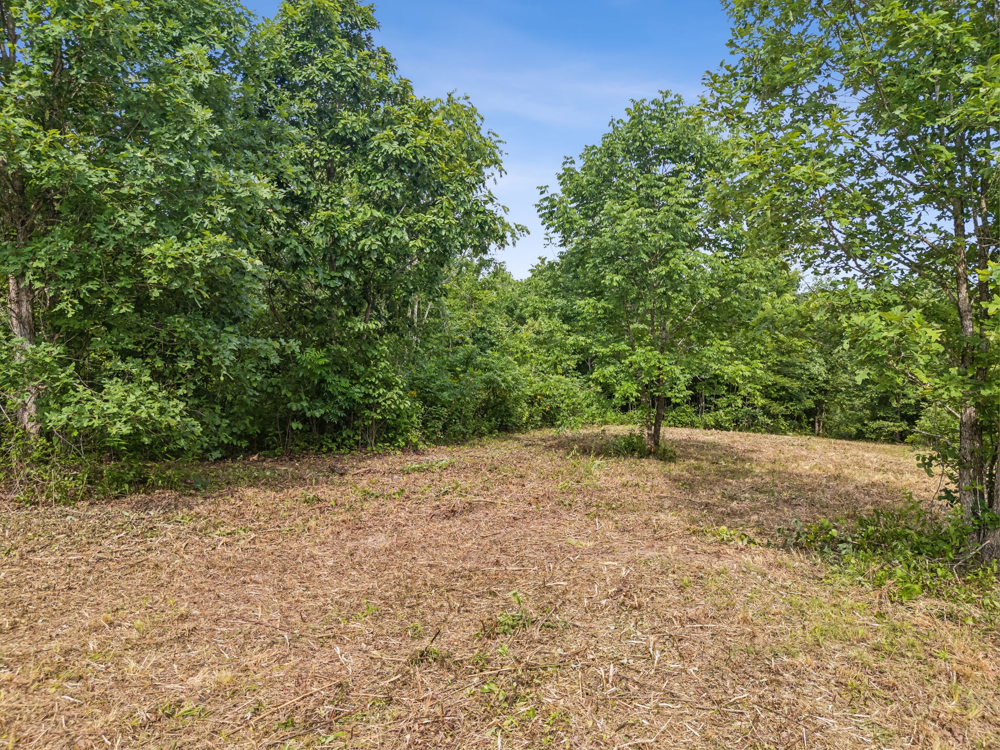 0 Bear Hollow Drive Waverly TN 37185