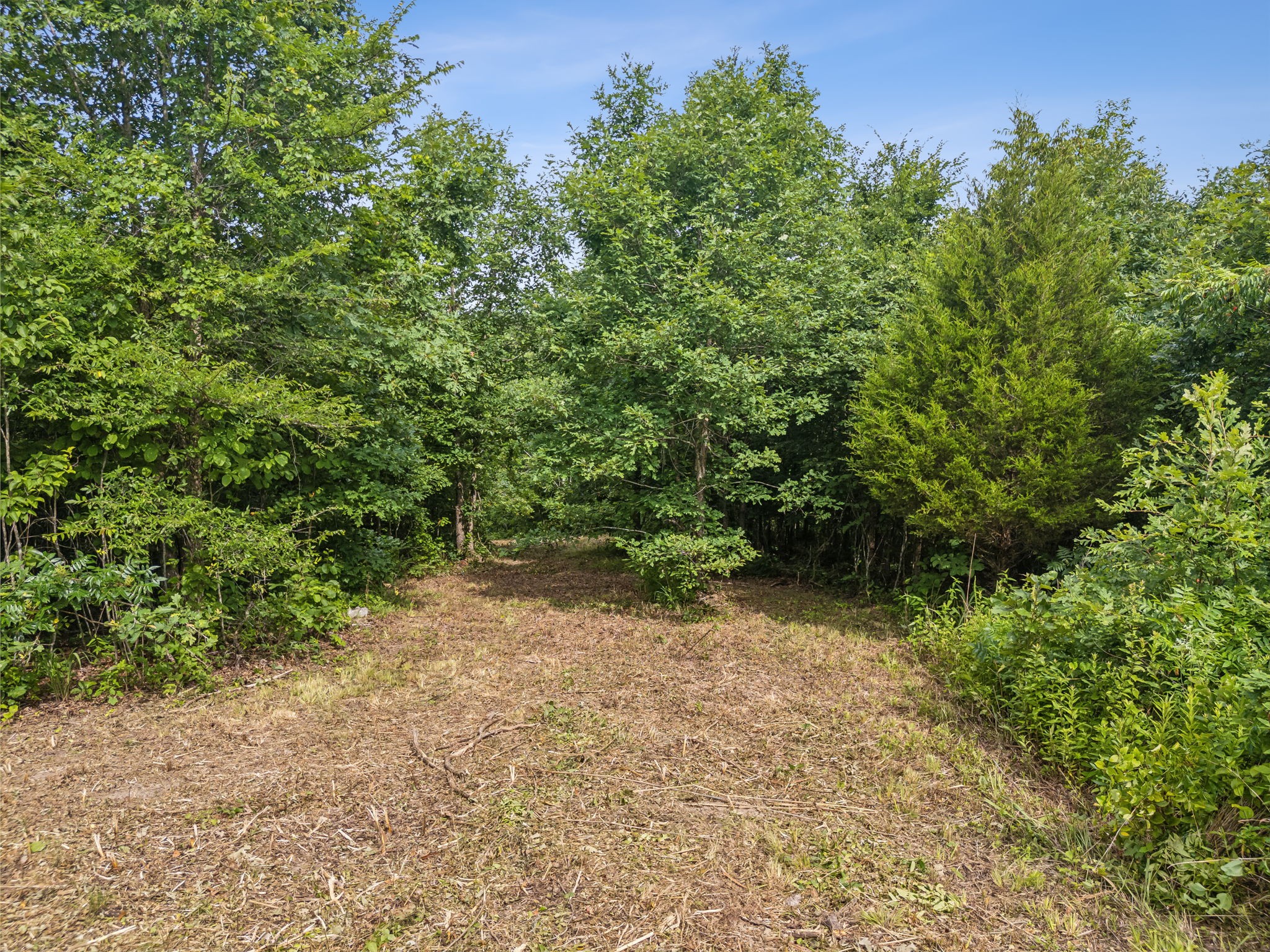 0 Bear Hollow Drive Waverly TN 37185